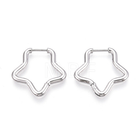 304 Stainless Steel Hoop Earrings STAS-T074-21P-1