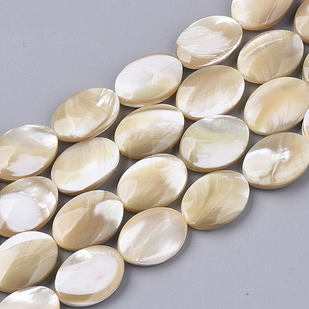 Natural Trochid Shell/Trochus Shell Beads Strands SSHEL-N032-05-1