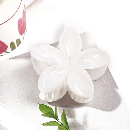 Resin Claw Hair Clips PW-WG0E0E6-02-1