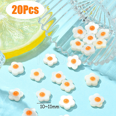 Natural Freshwater Shell Beads SHEL-YW0001-04C-1