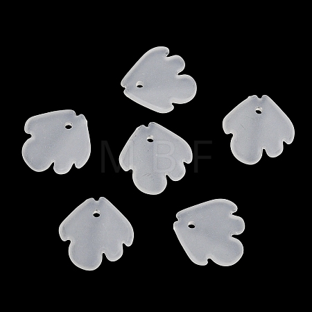 Frosted Acrylic Pendants SACR-F016-02A-1
