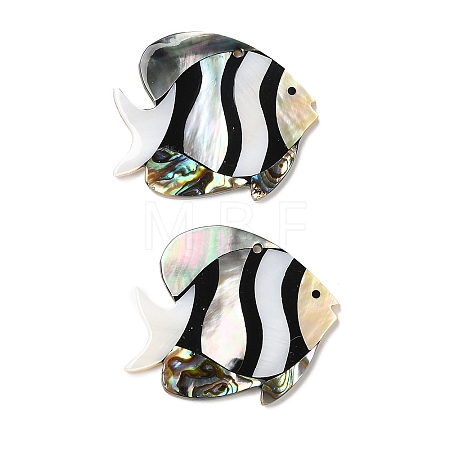 Natural Freshwater Shell & Black Lip Shell & Paua Shell Pendants X-SHEL-F007-14-1