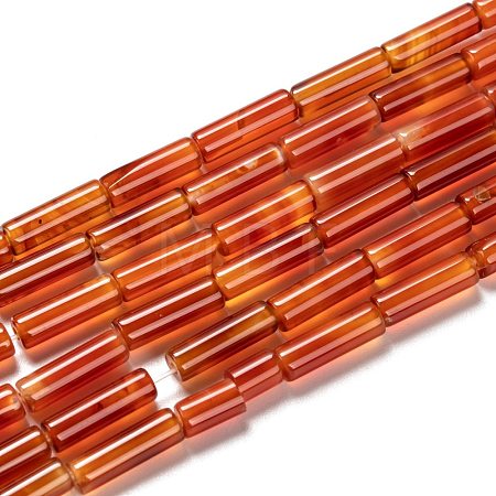 Natural Carnelian Beads Strands G-F247-40-1