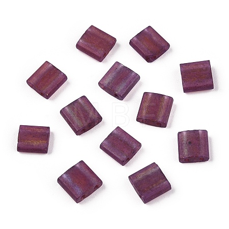 2-Hole Glass Seed Beads SEED-T003-02C-04-1