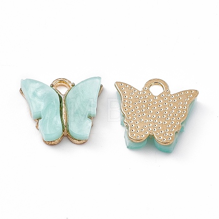 Acrylic Charms MACR-C012-01KCG-01-1