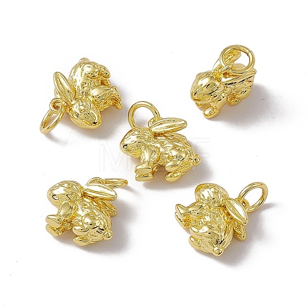 Rack Plating Brass Charms X-KK-C007-17G-1