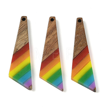 Pride Rainbow Theme Resin & Walnut Wood Pendants WOOD-K012-08B-1
