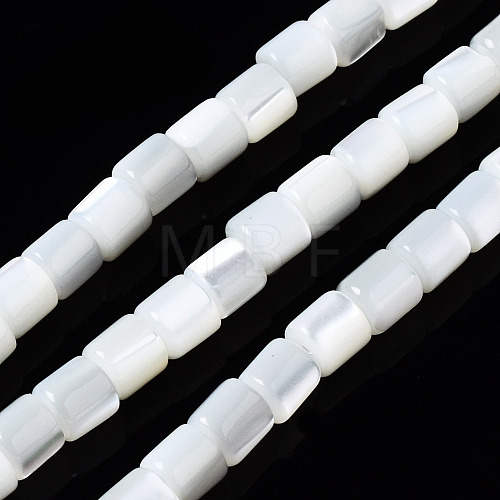 Natural Trochid Shell/Trochus Shell Beads Strands SSHEL-N034-77-A01-1