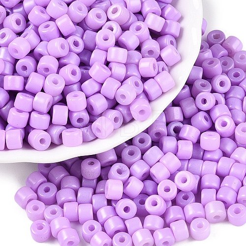 Opaque Baking Paint Glass Seed Beads SEED-T008-02T-1