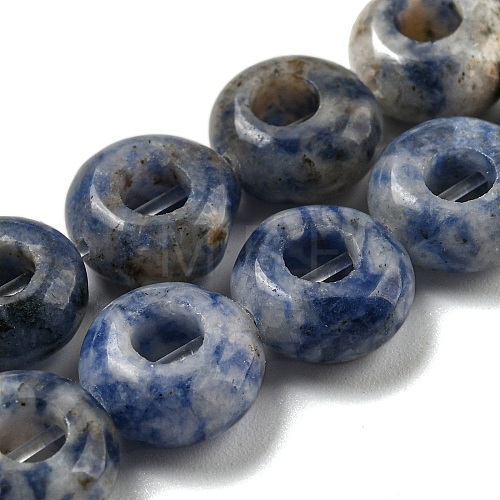 Natural Blue Spot Jasper Beads Strands G-P536-A11-01-1