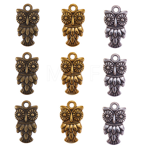 Tibetan Style Alloy Pendants TIBEP-CJ0001-16-1