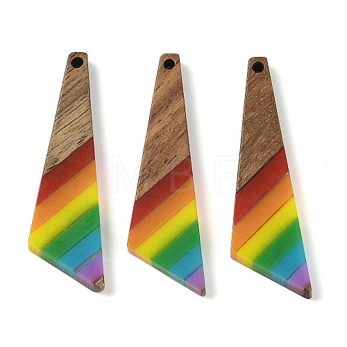 Pride Rainbow Theme Resin & Walnut Wood Pendants WOOD-K012-08B-1