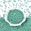 Picasso Glass Seed Beads GL-N001-02C-2
