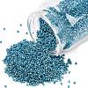 MIYUKI Delica Beads X-SEED-J020-DB2513-1