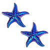 Dyed Natural Quartz Crystal Starfish Display Decorations Figurine Home Decoration DJEW-WH0039-181B-1