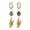 Ocean 304 Stainless Steel and Paua Shell Dangle Earrings EJEW-JE07109-01-3