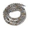 Natural Labradorite Beads Strands G-D470-10-2