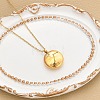 304 Stainless Steel Clear Cubic Zirconia Constellation Pendant Necklaces NJEW-R021-02G-01-1