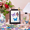 PET Plastic Self Adhesive Picture DIY-FH0010-16-5