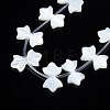 Natural White Shelll Beads Strands SSHEL-S278-123B-4