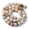 Natural White Moonstone Beads Strands G-I388-01-10mm-2