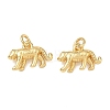 Brass Charms KK-D289-34C-G-1