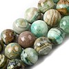 Natural Green Line Jasper  Beads Strands G-L639-A01-12mm-2