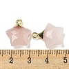 Natural Rose Quartz Pendants G-P540-01G-05-3