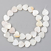 Natural Freshwater Shell Beads Strands X-SHEL-S276-87-2