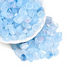 Transparent Acrylic Beads TACR-T028-39H-1