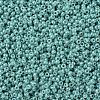 MIYUKI Round Rocailles Beads SEED-G007-RR0481-3