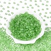Transparent Colours Glass Seed Beads SEED-N007-39A-04-2