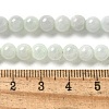 Natural Myanmar Jadeite Beads Strands G-L595-C01-01B-5