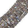 Natural Labradorite Beads Strands G-Z152-F04-02-2