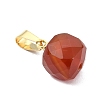 Natural Carnelian Pendants PALLOY-JF05312-3