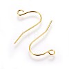 Iron Earring Hooks X-IFIN-T001-04G-NF-1