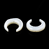 Natural White Shell Beads SSHEL-N034-122B-03-4