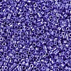MIYUKI Delica Beads SEED-JP0008-DB1569-3