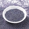 MIYUKI Round Rocailles Beads X-SEED-G007-RR1024-4