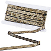 10 Yards Polyester Paillette Ribbon OCOR-CY0004-70C-1
