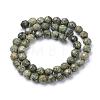 Natural Serpentine/Green Lace Stone Bead Strands G-R411-11-6mm-2
