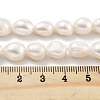 Natural Cultured Freshwater Pearl Beads Strands PEAR-P062-26B-5