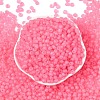 6/0 Luminous Glass Seed Beads X1-SEED-NH0001-01O-3