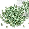 TOHO 6/0 Round Beads SEED-TR06-PF0560-1