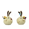 Cute Rabbit Resin Figurines Display Decorations PW-WGFD3F2-01-1