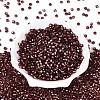 Silver Lined Glass Seed Beads SEED-T007-18A-13-2