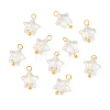 10Pcs Glass Pendants PALLOY-YW00065-04-1