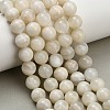 Natural White Moonstone Beads Strands G-L664-A01-10mm-1