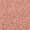MIYUKI Round Rocailles Beads SEED-JP0008-RR0543-3