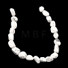 Natural Howlite Beads Strands G-C286-A20-4